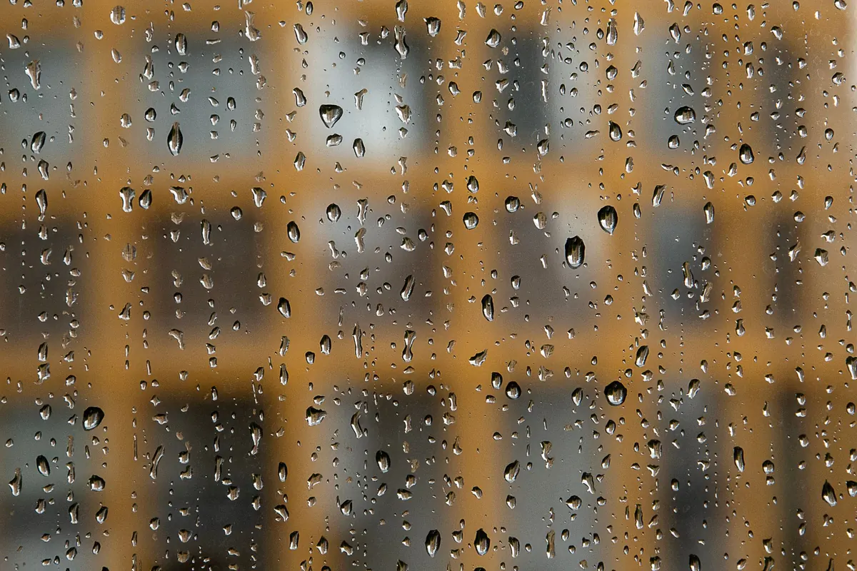 Autumn Home Maintenance Checklist for Damp, Rainy Weather